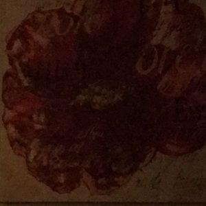 Meet your Posher, Patti